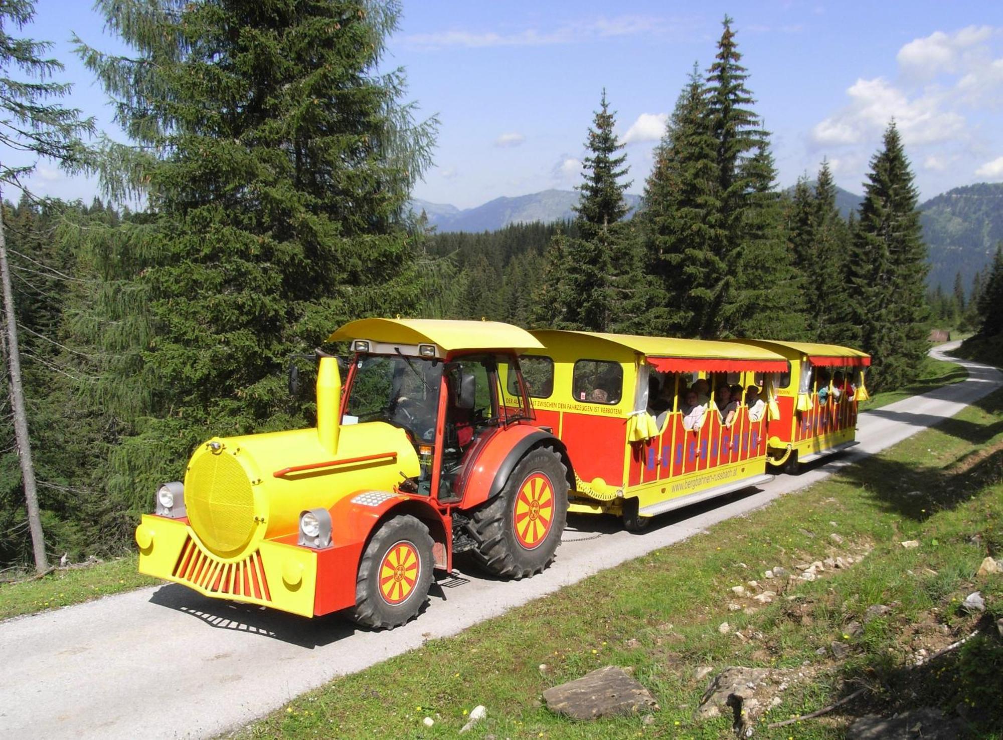 Dachstein West Hotel Gmbh-Kirchenwirt Russbach Russbach am Pass Gschütt Eksteriør bilde